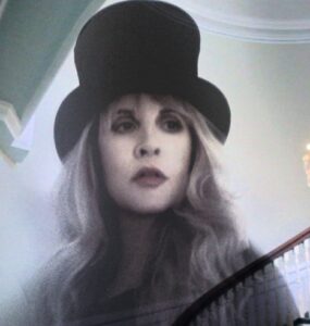 Stevie Nicks In Your Dreams image