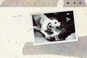 Fleetwood Mac Tusk cropped album cover