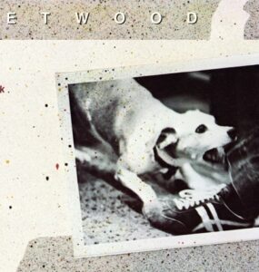 Fleetwood Mac Tusk cropped album cover