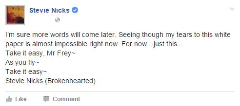 Stevie Nicks Facebook