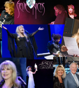 Stevie Nicks, The Year in Review, 2016