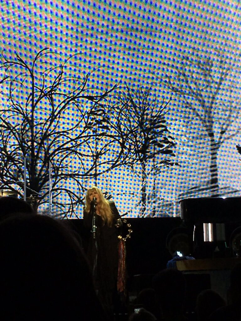 Stevie Nicks, 24 Karat Gold Tour, Memphis TN, FedEx Forum, March 8, 2017