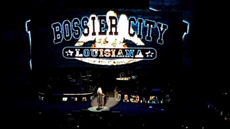 Stevie Nicks, 24 Karat Gold Tour, Bossier LA, CenturyLink Center, March 10, 2017