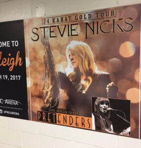 Stevie Nicks, 24 Karat Gold Tour, Raleigh NC, PNC Arena, March 19 2017