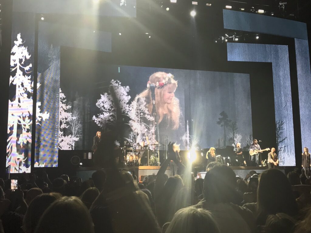 Stevie Nicks, 24 Karat Gold Tour, John Paul Jones Arena, Charlottesville VA, March 25 2017