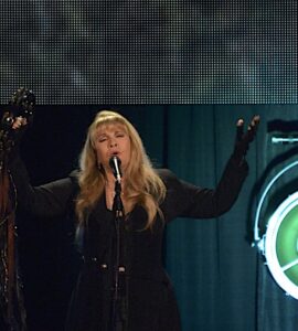 Stevie Nicks, 24 Karat Gold Tour, Covelli Centre, Youngstown OH
