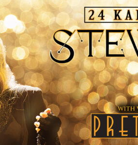 Stevie Nicks 24 Karat Gold Tour banner