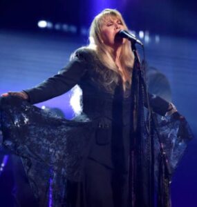 Stevie Nicks