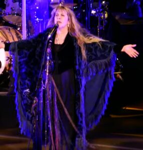 Stevie Nicks image