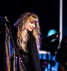 Stevie Nicks image