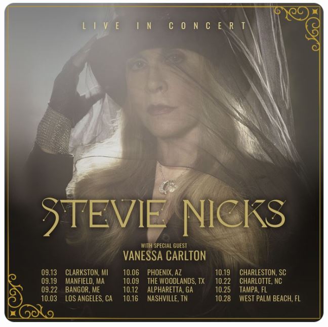 Stevie Nicks image