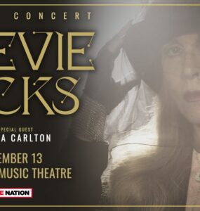 Stevie Nicks banner