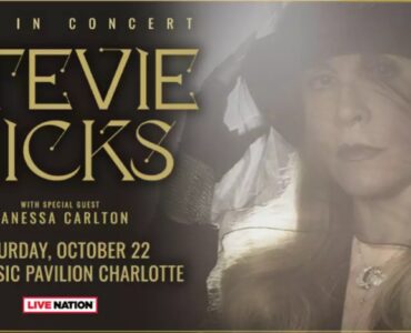 Stevie Nicks banner
