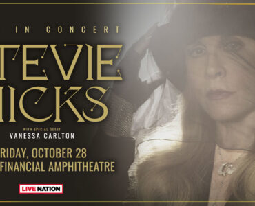Stevie Nicks banner
