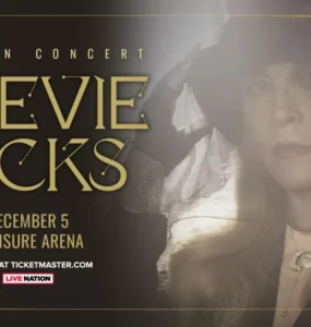 Stevie Nicks banner