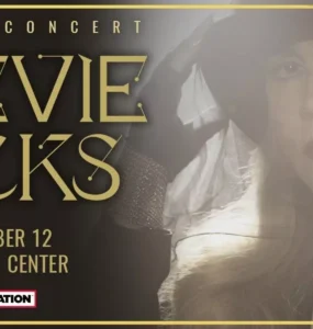 Stevie Nicks banner