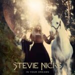 Stevie Nicks In Your Dreams