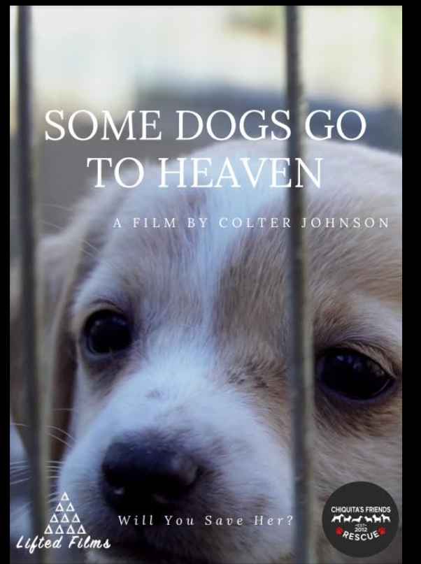 Some Dogs Go to Heaven
